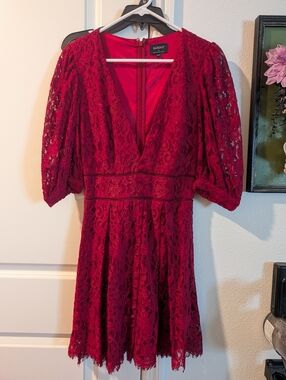 Bardot Burgundy Lace V-Neck Puff Sleeve Mini Dress